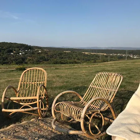 Rechhof Urlaub Bei Tieren Appartement Schalkenbach Buitenkant foto