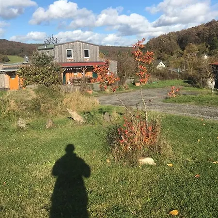 Rechhof Urlaub Bei Tieren Appartement Schalkenbach Buitenkant foto