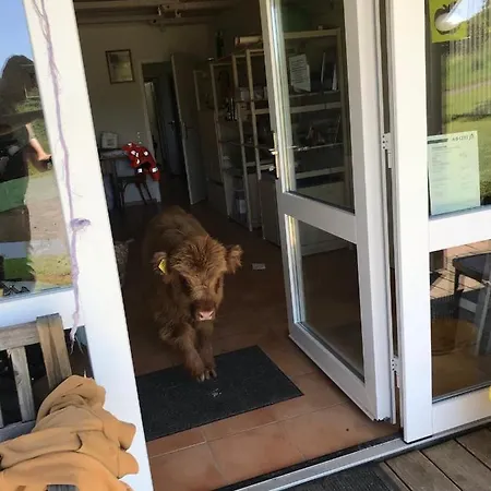 Rechhof Urlaub Bei Tieren Appartement Schalkenbach Buitenkant foto