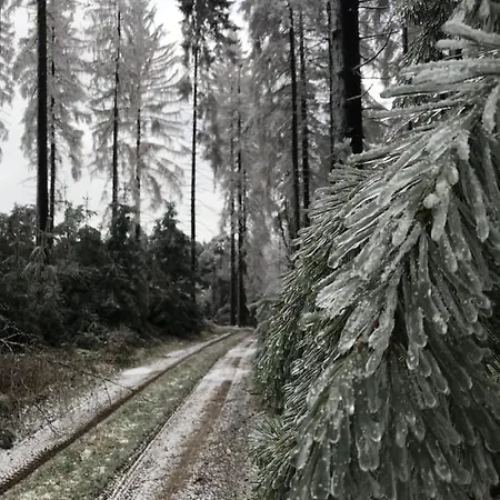 Rechhof Urlaub Bei Tieren Appartement Schalkenbach Buitenkant foto