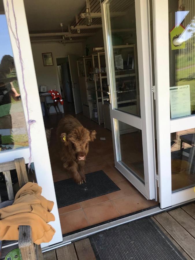 Rechhof Urlaub Bei Tieren Schalkenbach