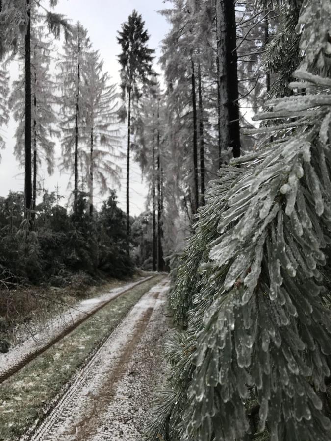 Rechhof Urlaub Bei Tieren * Schalkenbach