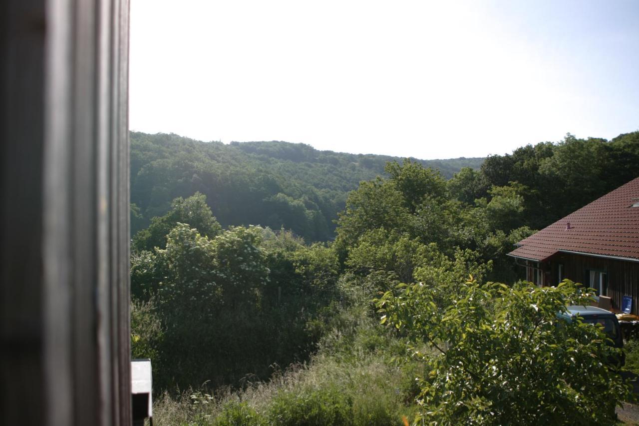 Apartment Rechhof Urlaub Mit Tieren Schalkenbach