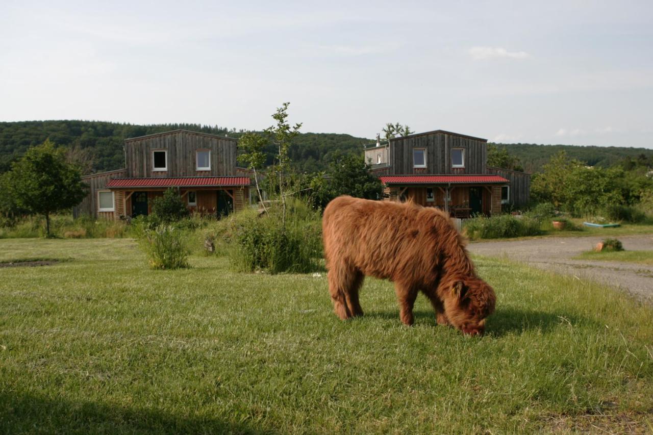 Rechhof Urlaub Mit Tieren Apartment
